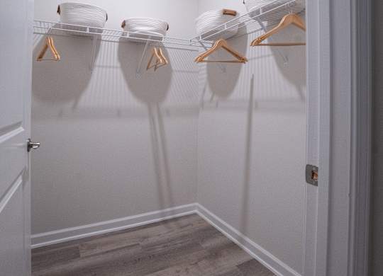 Primary bedroom walk-in closet
