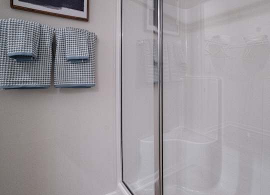 Primary bathroom walk-in shower