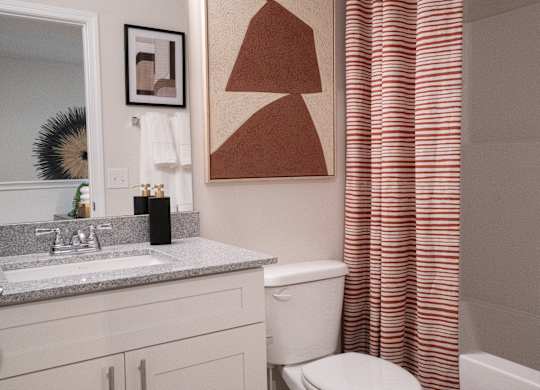 Secondary bathroom with tub shower and single vanity