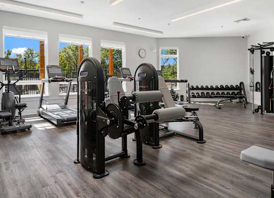 A gym with a variety of equipment including treadmills, weights, and benches.