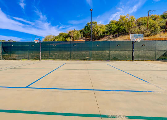 Willow Park basketball court