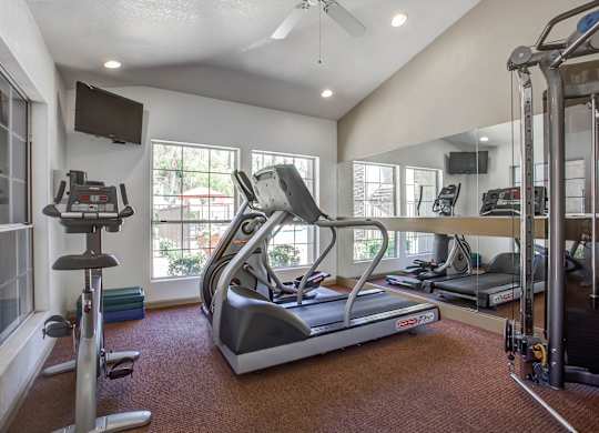 A home gym with a treadmill, exercise bike, and other equipment.