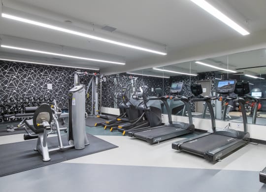 a gym with a lot of exercise equipment and a patterned wall