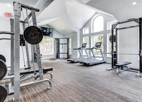 A gym with a variety of equipment including a squat rack, bench, and treadmill.