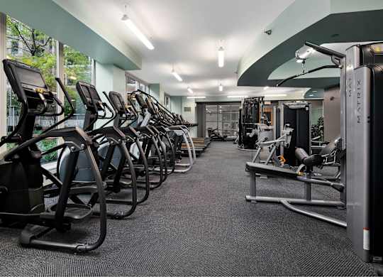 Fitness Club with Cardio Equipment