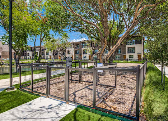 Dog Park
