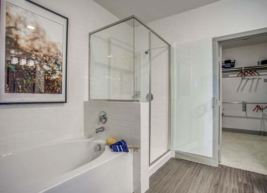 Elegant Master Bathroom