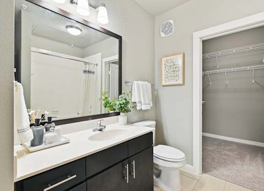 A bathroom with a white sink and a mirror above it.