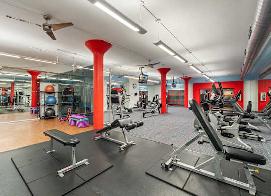 A gym with a variety of equipment including weights and treadmills.