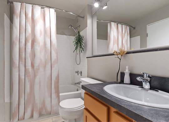 A bathroom with a toilet, sink, and shower curtain.