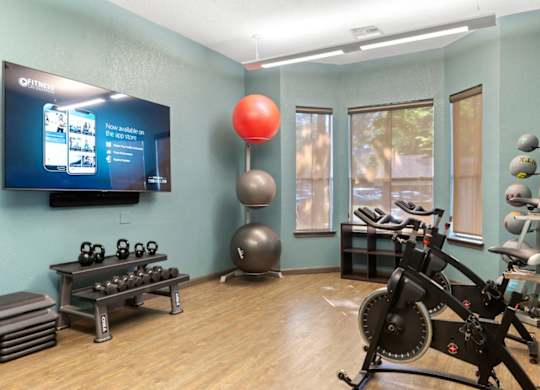 A gym room with a row of dumbbells and a row of exercise balls.