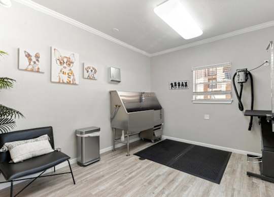 A room with a treadmill, exercise equipment, and a bench.