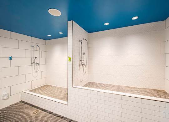 A white tiled bathroom with a blue ceiling and a walk-in shower.