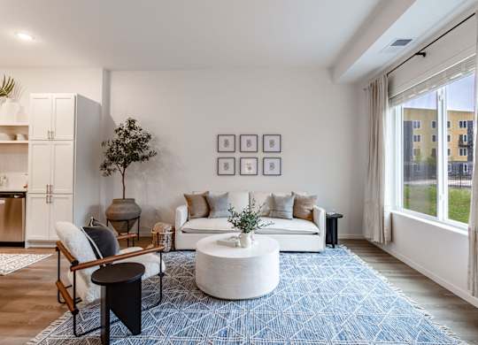 A living room with a white couch, a blue rug, and a potted plant.