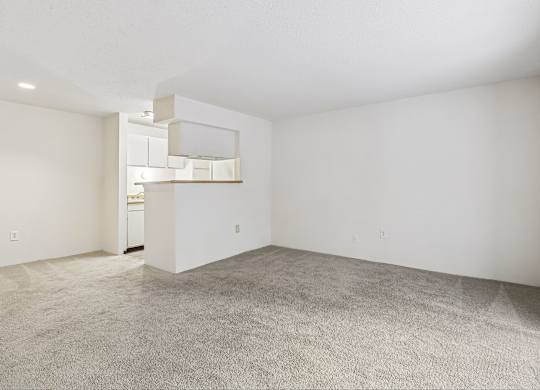 A large empty room with a carpeted floor and a small kitchenette in the corner.