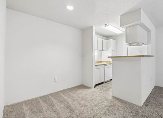 A kitchen area with a white wall and a carpeted floor.