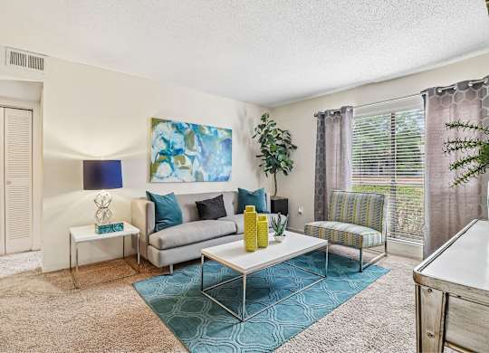A living room with a grey couch and a blue rug.