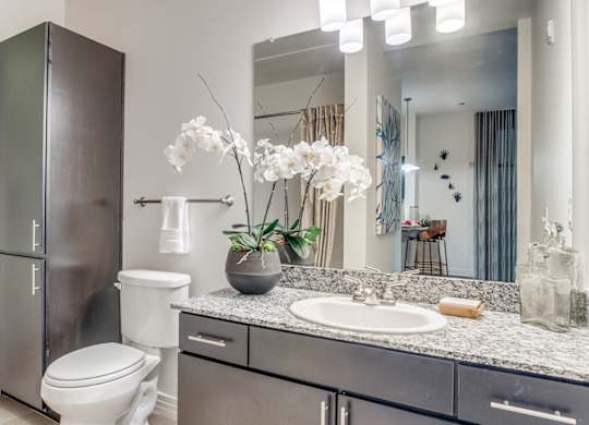 Spacious bathroom at Twin Creeks Crossing, Allen apartments for rent