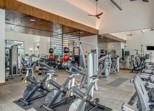 Fitness center with cardio and strength equipment at Twin Creeks Crossing, apartments in Allen
