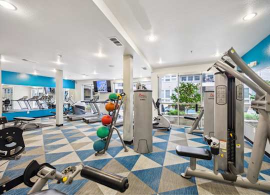 The Arts gym