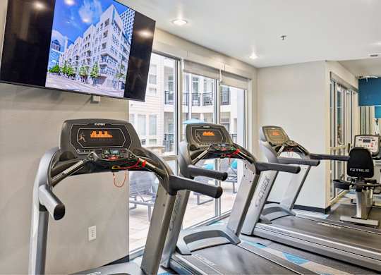 The Arts Gym