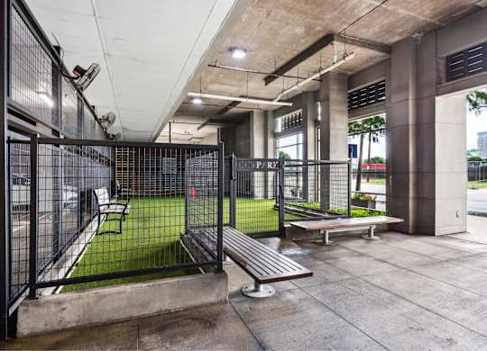 Dog relief area