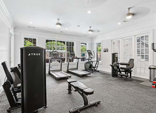 A gym with a variety of equipment including a squat rack, treadmill, and weights.