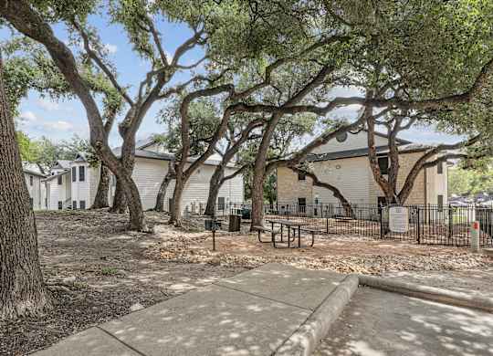 dog park with picnic table and trees