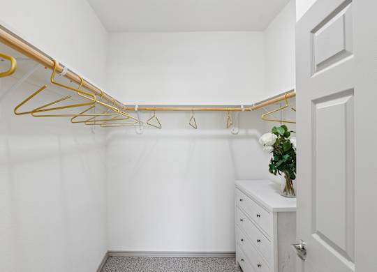 A white closet with a white dresser and a plant on top of it.
