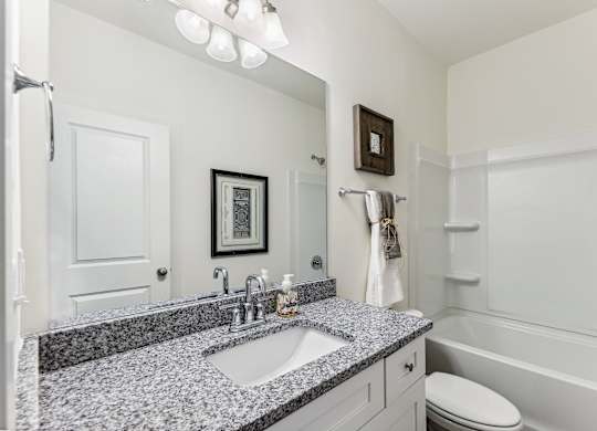 a bathroom with a sink and a mirror and a toilet