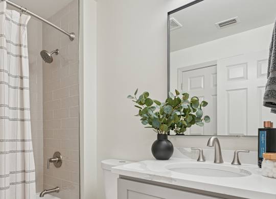 A white toilet sits next to a sink in a bathroom.