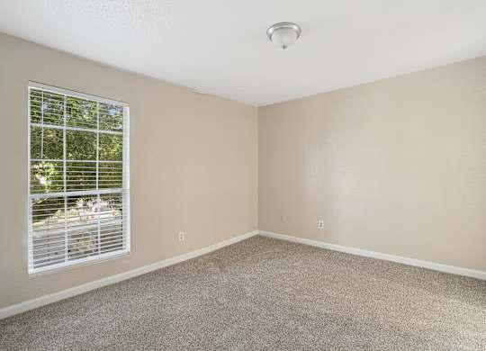 A room with a window and a carpeted floor.