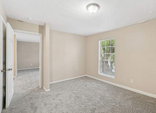 A room with a carpeted floor and a window with blinds.