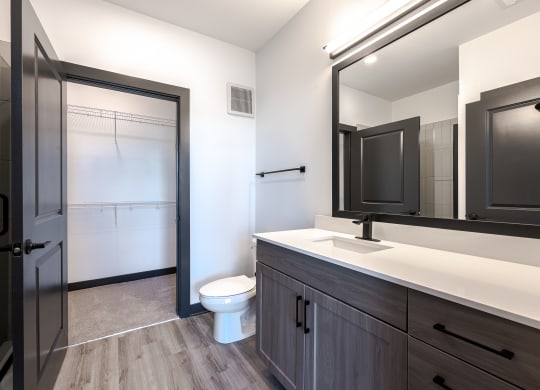 a bathroom with a toilet and a sink and a mirror