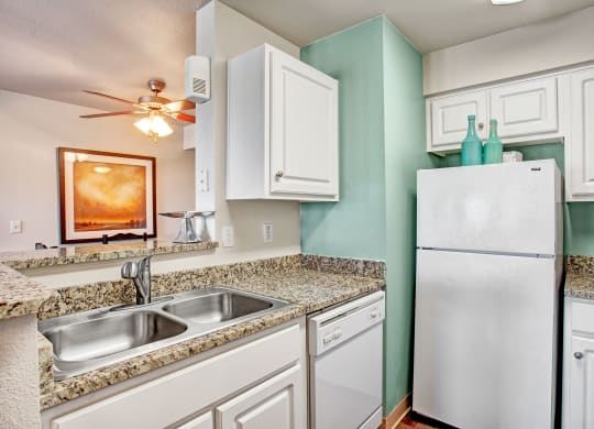 Legends at River Oaks Kitchen Sink & Fridge