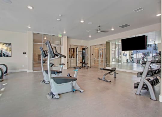 Ritz Classic Fitness Center with Free Weights