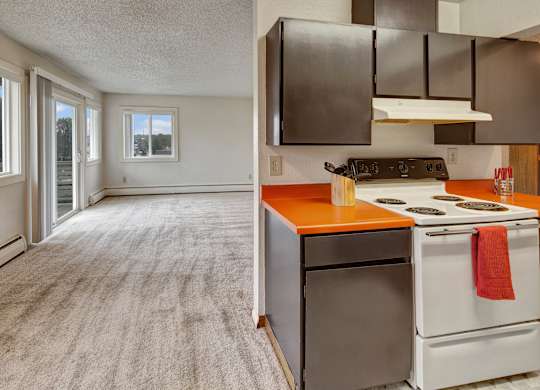 A bright open layout at Arctic Sun Apartments showing plush carpet leading from the living area into the kitchen. Large windows and a sliding glass door bring in natural light. The kitchen features dark cabinets, orange countertops, and a stovetop, creating a functional cooking space.