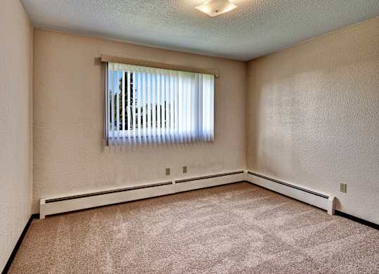 A bright bedroom at Bay Arms Apartments with plush carpet, neutral walls, and a large window with vertical blinds. Sunlight fills the space, highlighting the open layout and baseboard heating. The room offers plenty of flexibility for furniture placement.