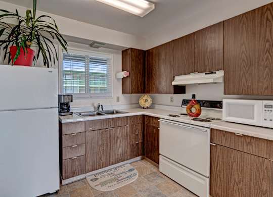 A bright kitchen at Bay Arms Apartments featuring wood cabinets, white countertops, and a double sink beneath a window. The space includes a refrigerator, stovetop and oven, microwave, and coffee maker. Neutral flooring and simple décor create a clean and functional cooking area.