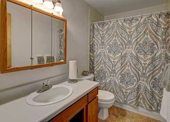 A stylish bathroom at Bay Arms Apartments featuring a vanity with sink and wood-framed mirror cabinet. A shower and bathtub combo sits behind a patterned curtain in neutral and teal tones. Soft lighting, a toilet, and towel racks complete this bright and functional space.