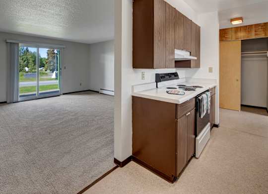 A bright open layout at Bay Arms Apartments showing a spacious living room with plush carpet and a sliding glass door that opens to a grassy outdoor area. The adjoining kitchen features wood cabinets, countertops, and a stovetop, creating a practical cooking and dining flow.