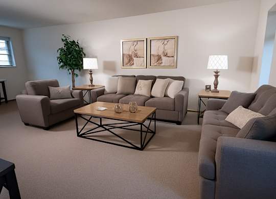 A spacious living room at Birchwood Apartments featuring matching gray sofas and an armchair with neutral pillows. Two framed artworks hang above the main couch, and end tables with lamps flank the seating. A wooden coffee table and a tall potted plant complete the warm, inviting space.