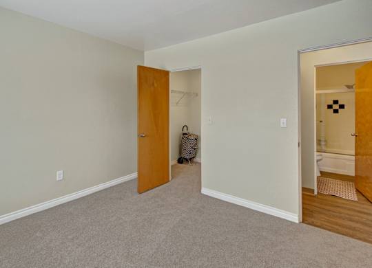 A cozy bedroom here at Century Plaza showcasing soft carpet flooring and light neutral walls for a warm, inviting feel. Two open doors reveal a walk-in closet with shelving and direct access to the bathroom with a tiled shower. The simple layout makes furniture placement easy and comfortable.