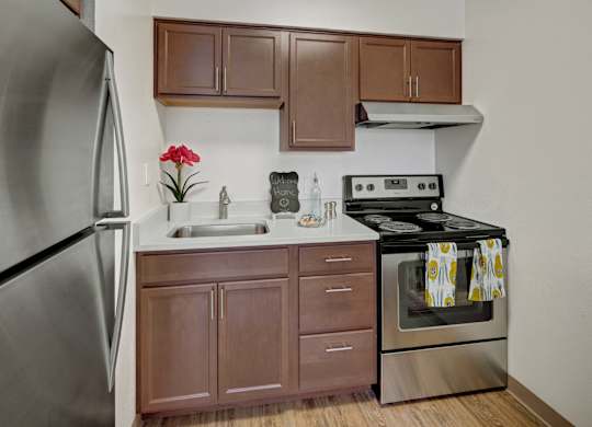 A compact modern kitchen here at Century Plaza with sleek stainless-steel appliances, rich wood cabinets, and a bright white countertop. A stainless sink, electric range, and overhead vent provide everyday convenience, while simple décor and wood-style flooring create a clean and cheerful cooking space.
