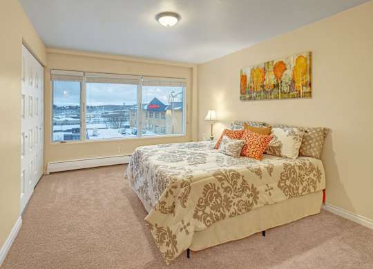 A spacious bedroom here at Century Plaza featuring a large window with sweeping neighborhood views, soft neutral carpeting, and warm cream walls. A queen bed with patterned bedding and colorful accent pillows sits beneath wall art, creating an inviting and comfortable retreat filled with natural light.