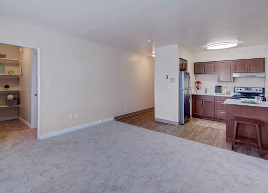 A spacious living area here at Century Plaza showcasing an open layout with plush carpet flowing into warm wood-style flooring in the kitchen. The kitchen features rich espresso cabinets, stainless-steel appliances, and a small breakfast bar, while a built-in shelving nook off to the side adds convenient storage and display space.