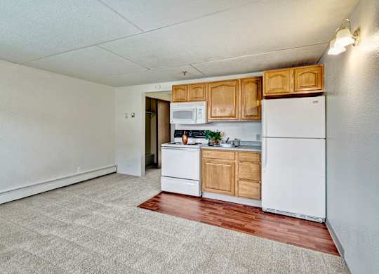A welcoming open living space here at College View featuring soft carpet flooring, neutral wall tones, and an efficient kitchen area with wood cabinetry, white appliances, and durable vinyl flooring. The open layout allows for easy furniture placement, natural flow between living and kitchen areas, and comfortable everyday living.