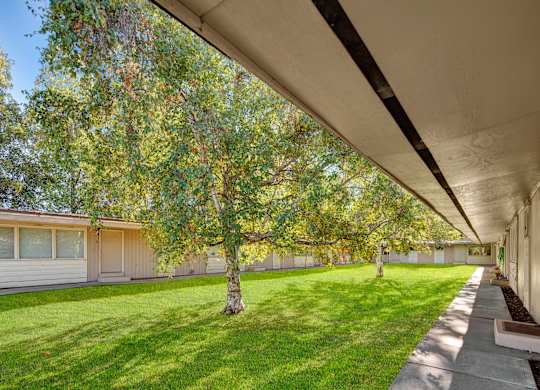 A bright courtyard view here at Country Lane featuring a lush green lawn, mature leafy trees providing shade, and surrounding apartment buildings with covered walkways and private entrances, creating a peaceful outdoor setting ideal for relaxing walks and everyday convenience.