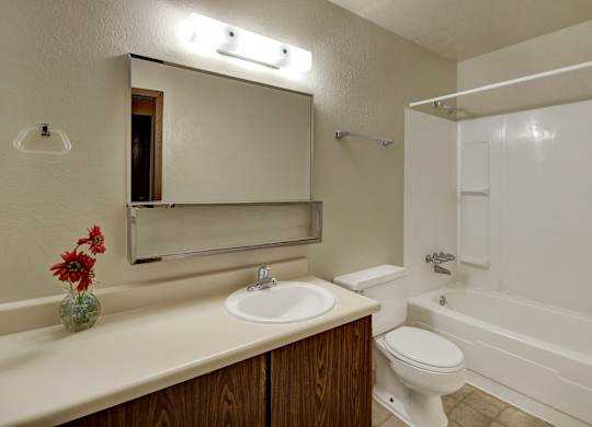 A clean bathroom here at Deer Park featuring a full tub and shower combination with built-in shelving, a single-sink vanity with ample counter space, and a large mirrored medicine cabinet. Neutral finishes, bright overhead lighting, and durable flooring create a functional and well-lit space for daily routines.