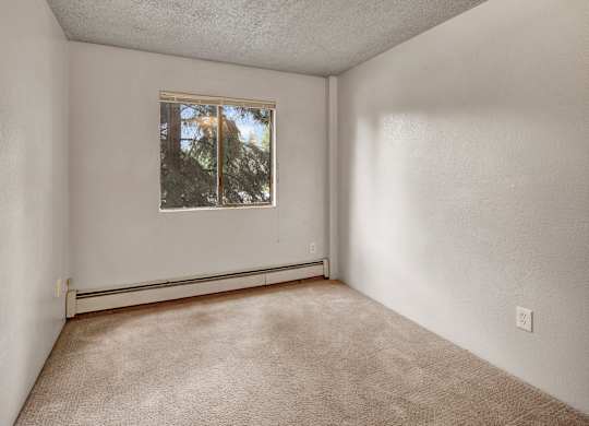 Bright bedroom here at Deer Park featuring soft carpet flooring, light neutral walls, and a centered window that brings in natural light and treetop views. The simple rectangular layout offers flexible furniture placement, with baseboard heating and an overhead light providing everyday comfort.